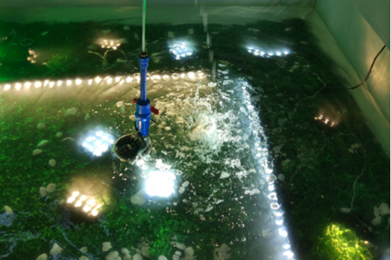 灯具浸水测试