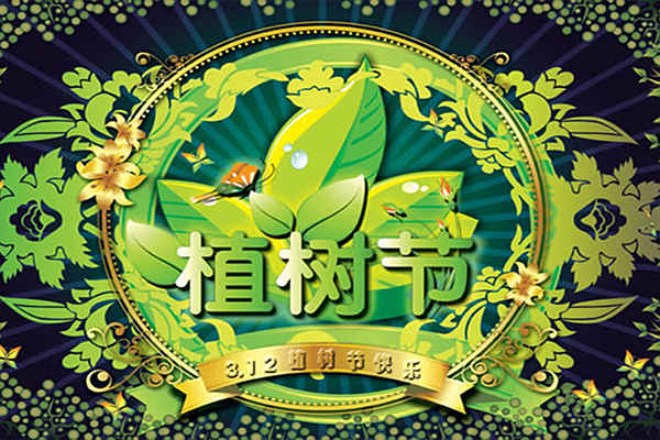 植树节，岳信邀您开创环保之旅