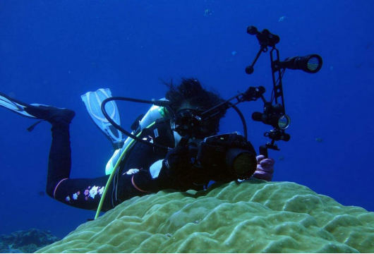 潜水相机-深海拍摄-岳信